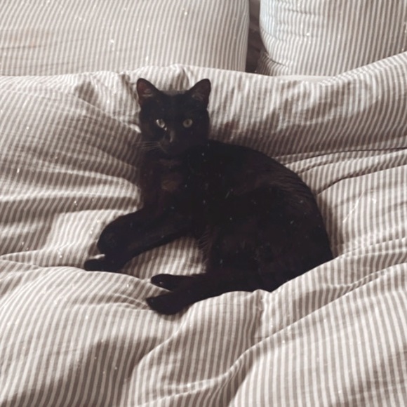 Meet your Posher, Clare - Picture 1 of 1